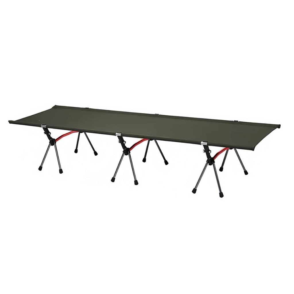 BASK LayDay Cama Dobrável Portátil Suporta 150 kg Altura Ajustável 15–38cm Oxford 600D Camping