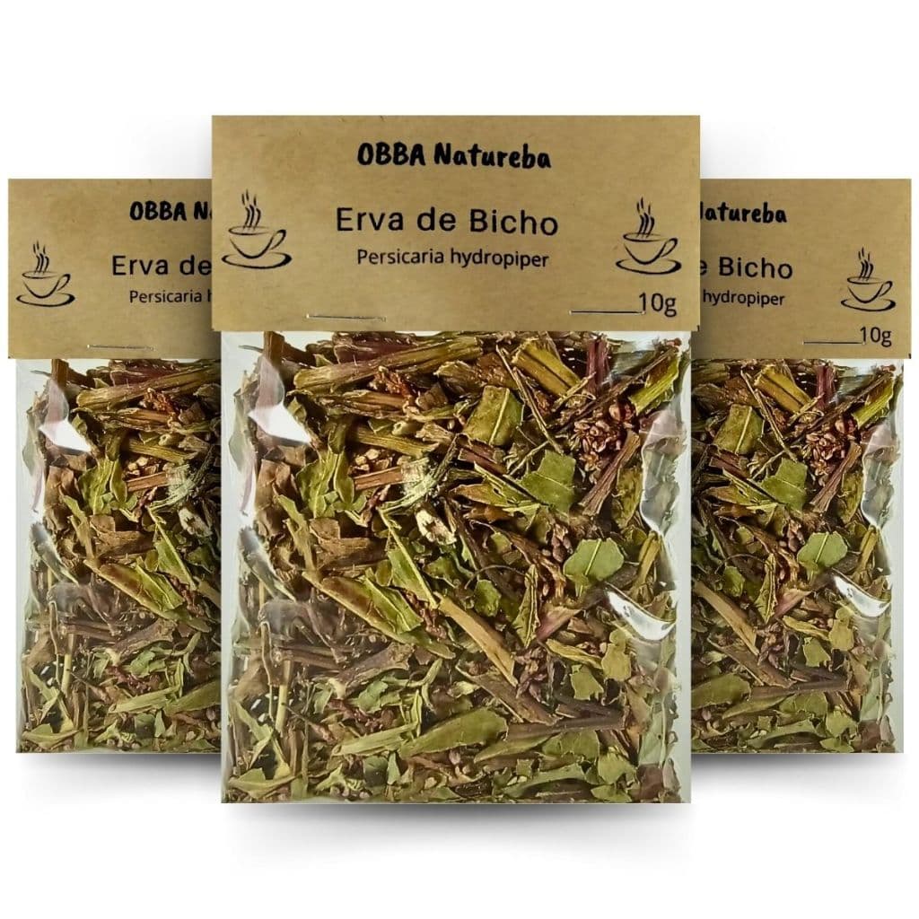 Erva Bicho para Infusão Verdadeiro 100% Natural Rendimento Maior Qualidade Premium – Combo com 3 Pacotes