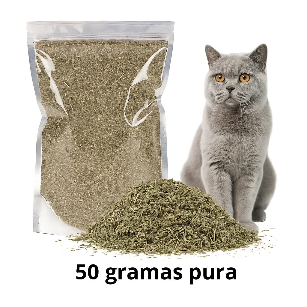 Catnip Erva Para Gatos Natural Relaxante Interativo 50 gramas