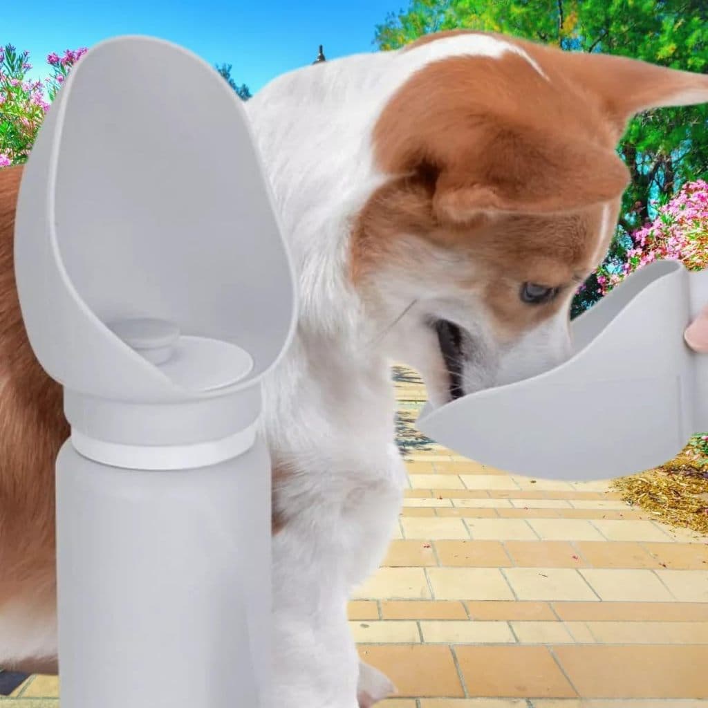 Bebedouro Tigela Silicone Pets Caminhadas Dobrável Refresca Sede Passeios Lazer Viagens Água