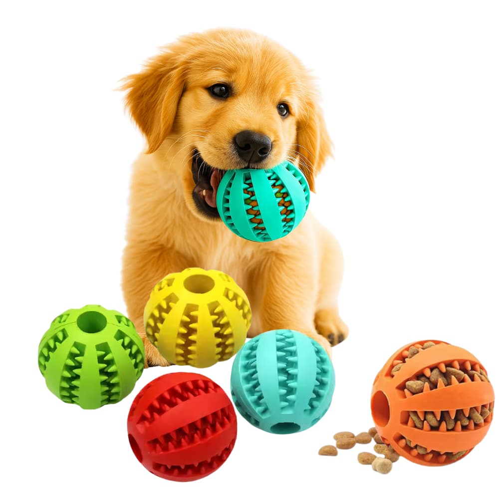 Bola Pet Porta Petisco Mordedor Bolinha Interativo 6cm Brinquedo Pet Resistente Envio Imediato