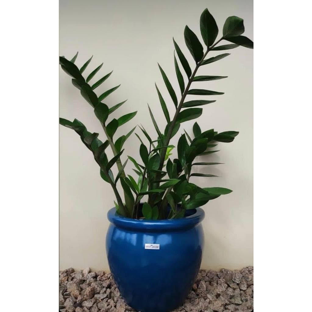 Decoração de casa Vaso pequeno Fibra de Vidro Vaso planta Moderno e decorativo 22cm Alexandrita PP