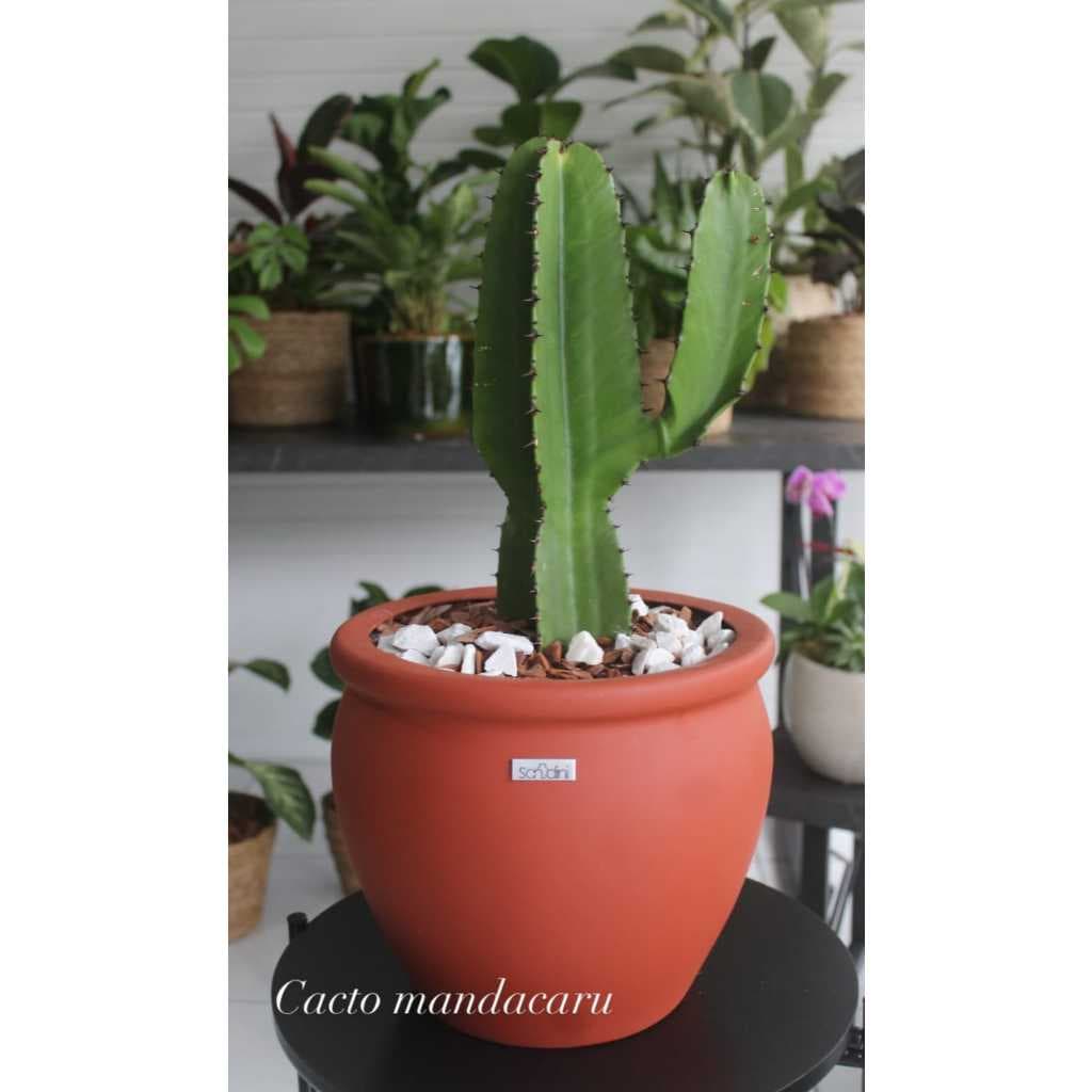 Vaso decorativo para sala Redondo 29cm Alexandrita P  Fibra de Vidro