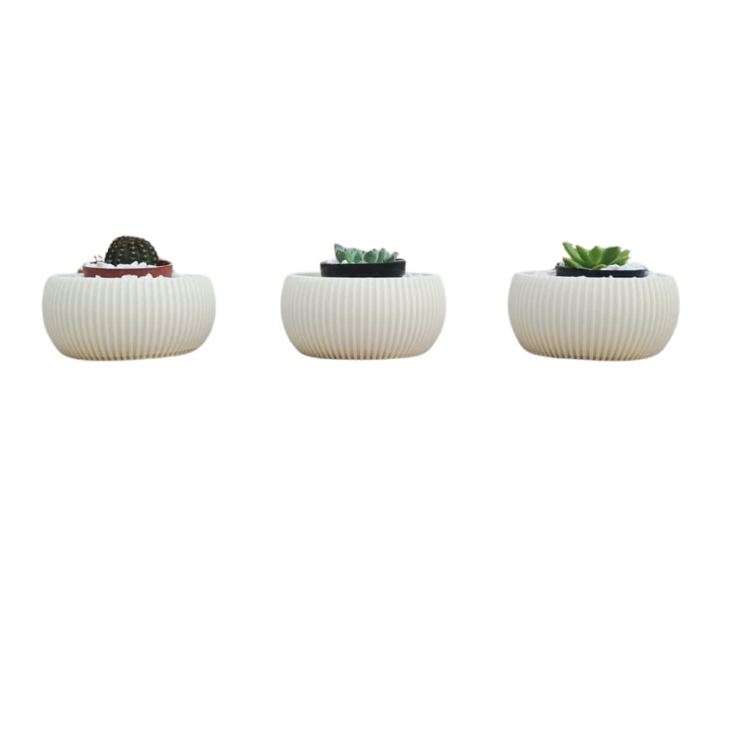 Kit 2 Vasos Pequenos para Suculentas – 10cm de base x 4,5cm de altura 🌱✨