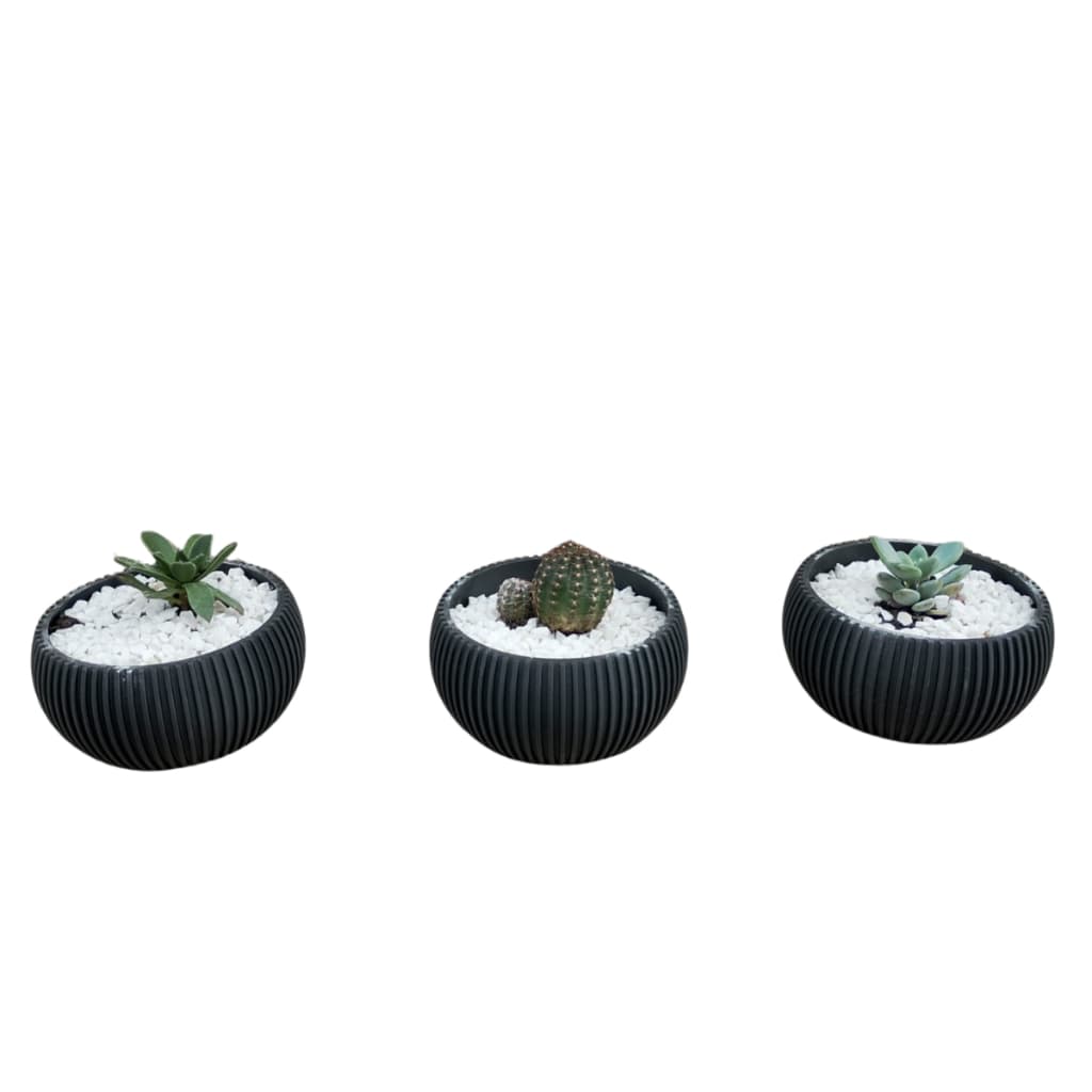 Kit 2 Vasos Pequenos para Suculentas – 10cm de base x 5,2cm de altura 🌱✨