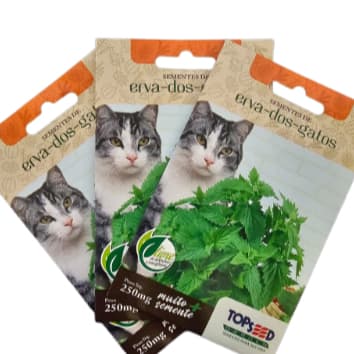 Sementes Erva De Gato Felino Catnip Envelope 250mg