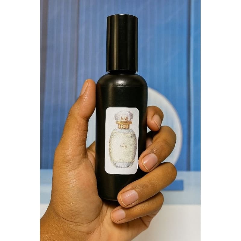 Perfume mulher de bolso viajem lily 60mls envio imediato alta fixação