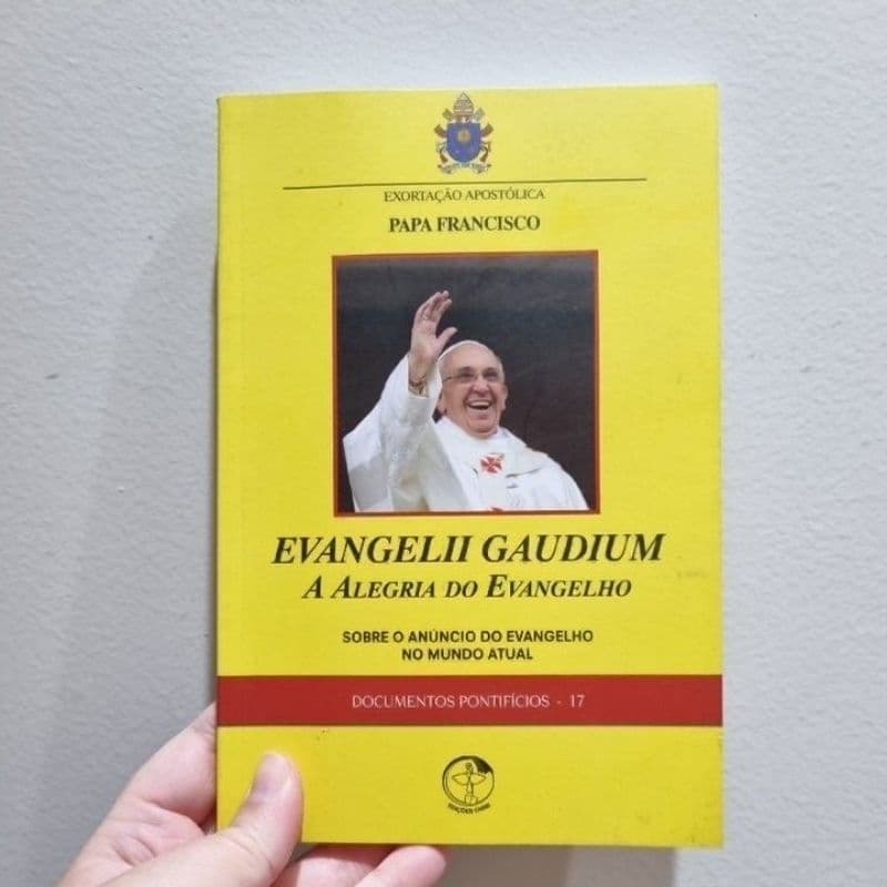 livro Papa Francisco A alegria do evangelho no mundo atual