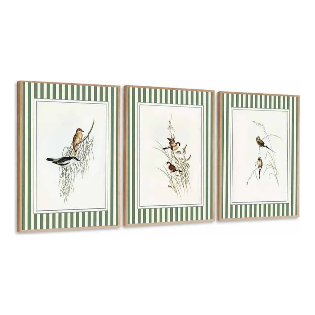 Kit 3 Quadro Decorativo Pássaros Coloridos Paspartu Moldura