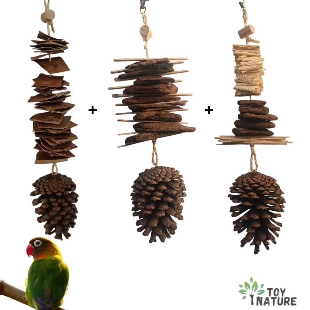 Kit 3 brinquedo calopsita pinha natural enriquecimento ambiental toynature