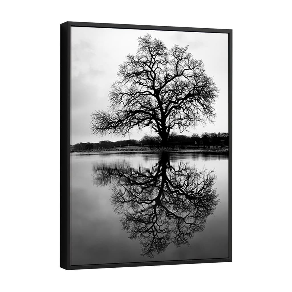 Quadro Fotografia Arvore Preto E Branco Luz Sombra Moderno Sala