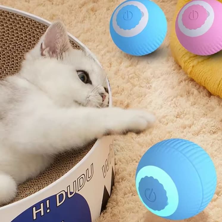 Bola Interativa para Gatos e Cães Pequenos Cor aleatória Brinquedo automático Recarregável