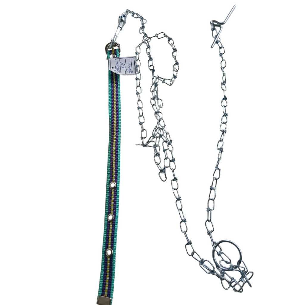 kit coleira + corrente para gatos e cães pequenos (corrente n°7 + coleira com 33cm)