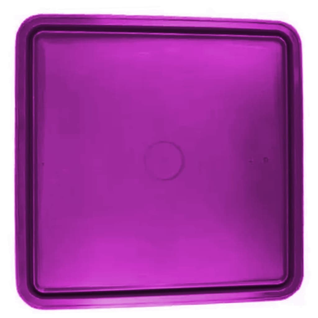 Tupperware Tampa de Caixa Versátil 2,5 Litros 24,7 cm