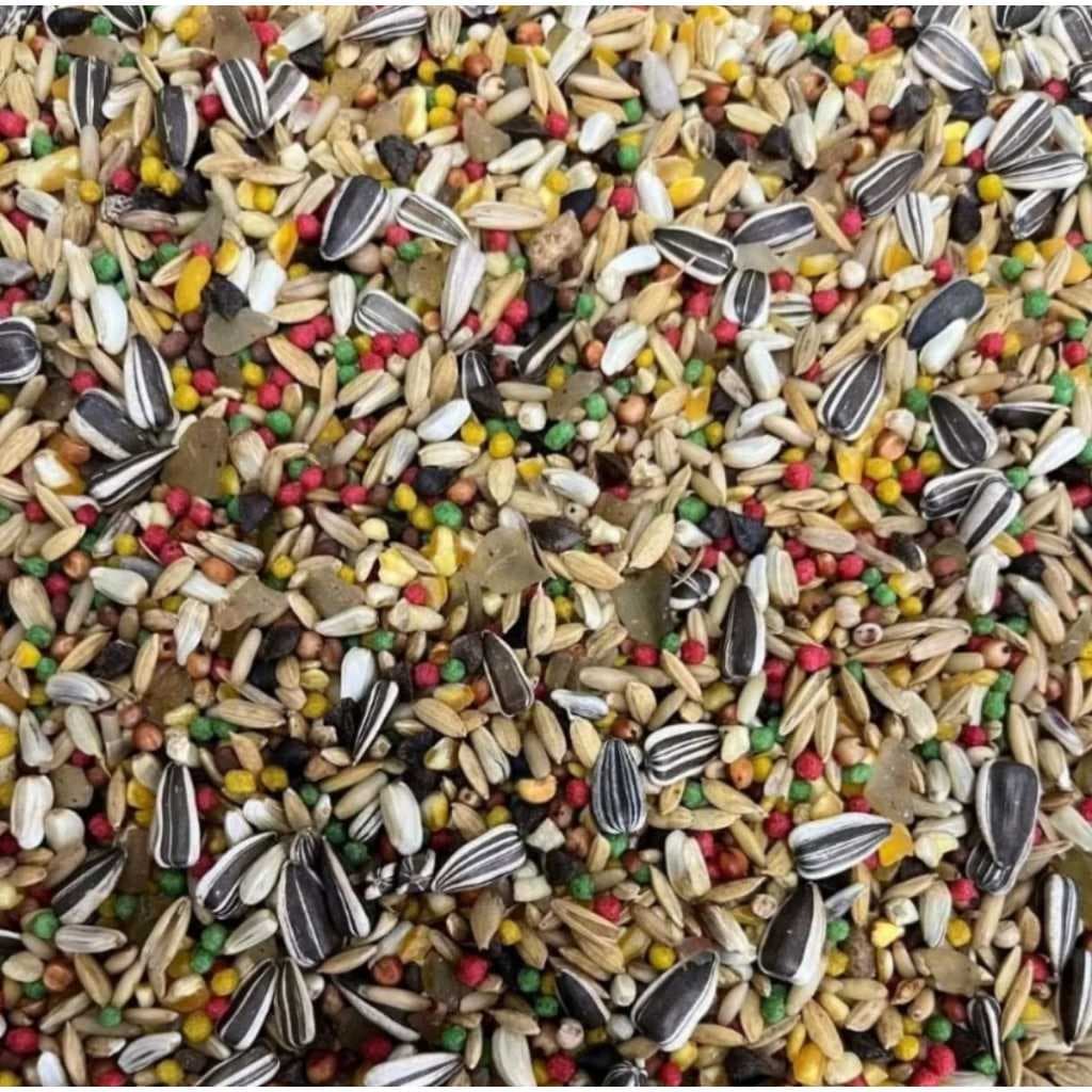 Mistura De Sementes Para Trinca Ferro Sementes Flamingos 5kg