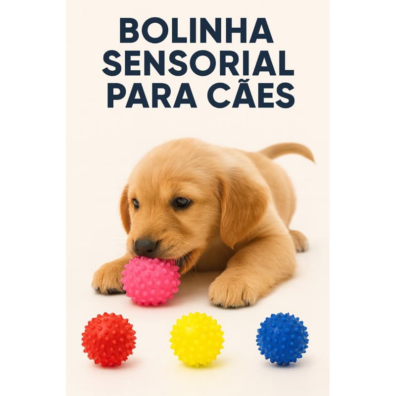 3 Bolinhas Sensorial para Cachorros – Brinquedo Mordedor Pet