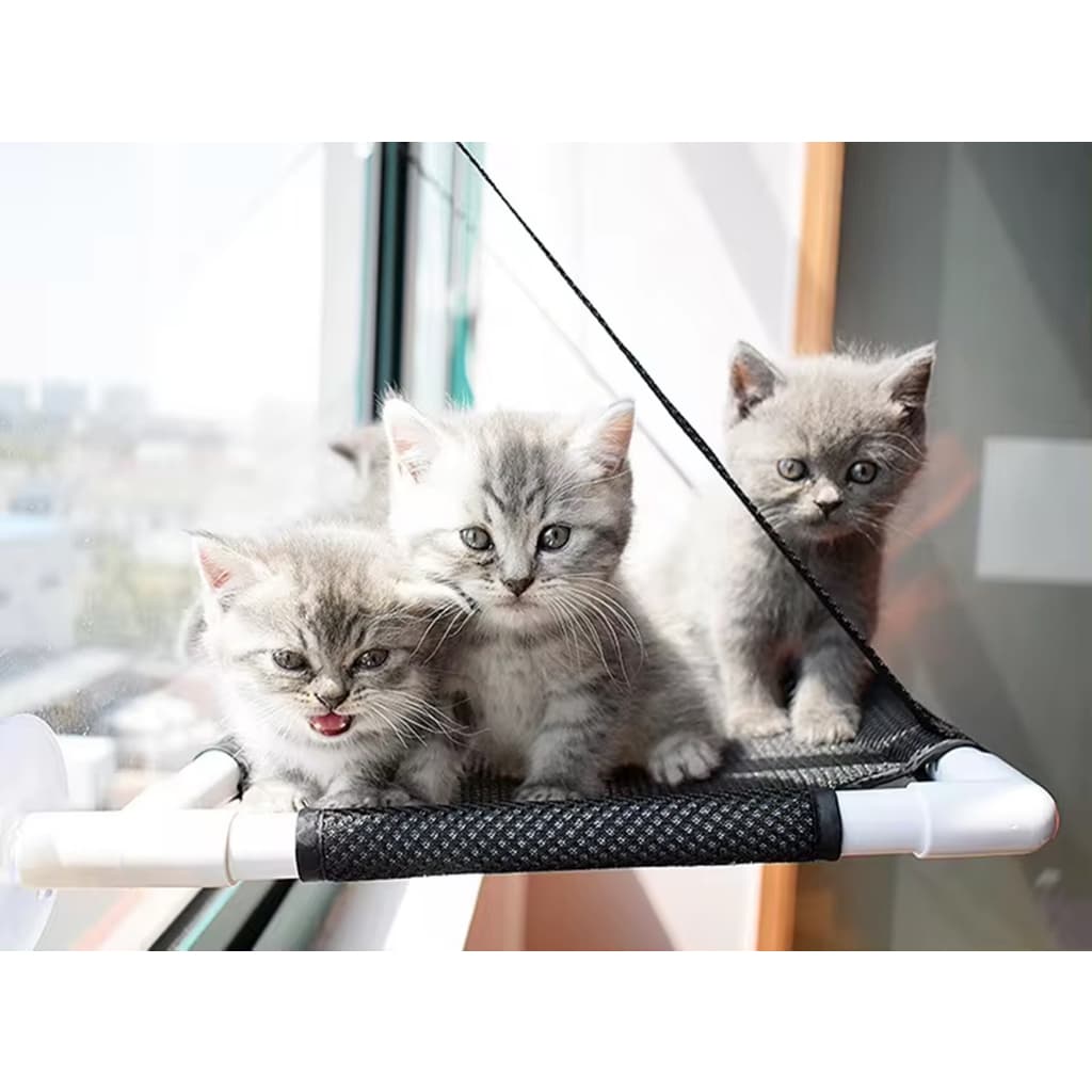 CAMA SUSPENSA PARA GATOS DE PARADE.