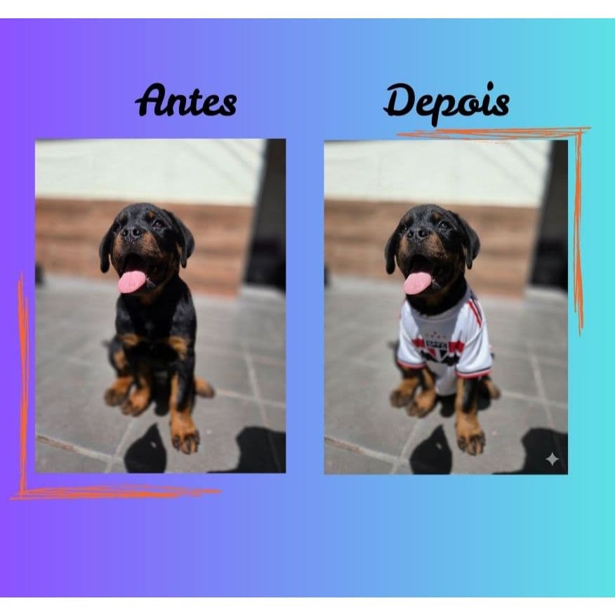 Quadro Decorativo Pet Personalizado | Com Camisa de Time | Foto Pets e Donos