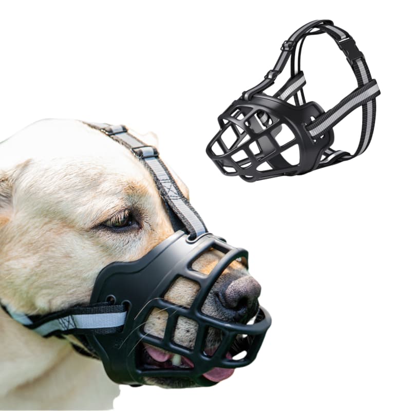 Focinheira Cachorro Ajustável Coleira Pet Cão Pittbull