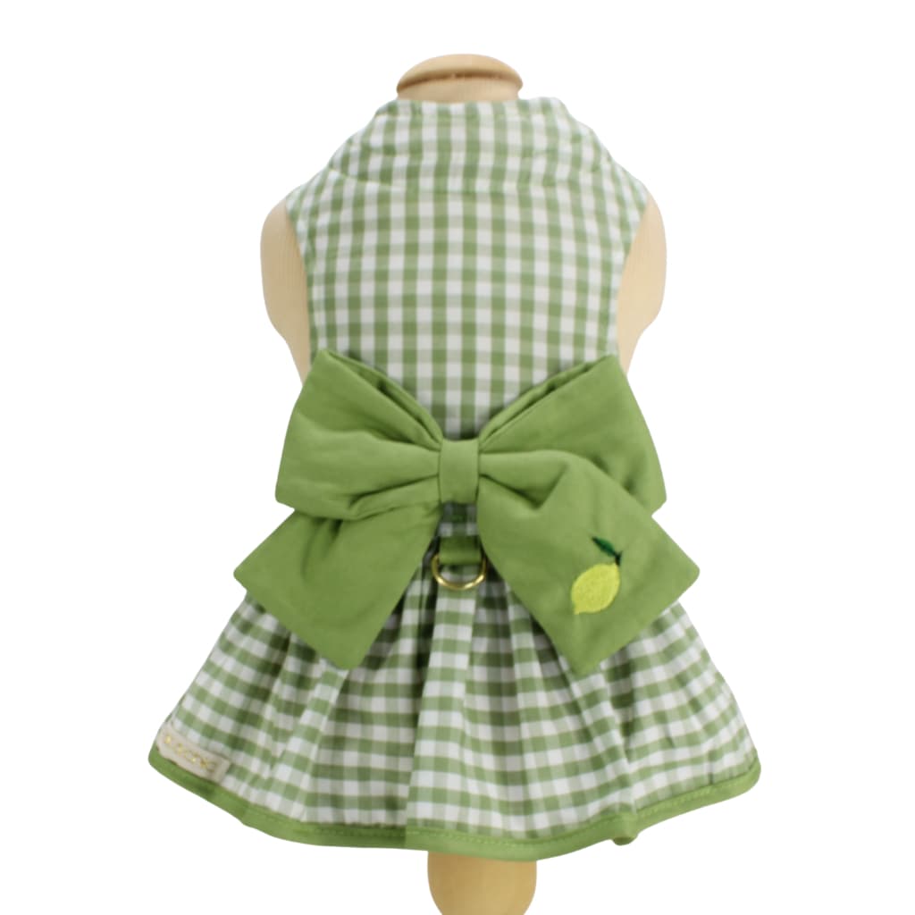 Vestido Laço e Guia Passeio Pet Pata Chic - Limão Siciliano