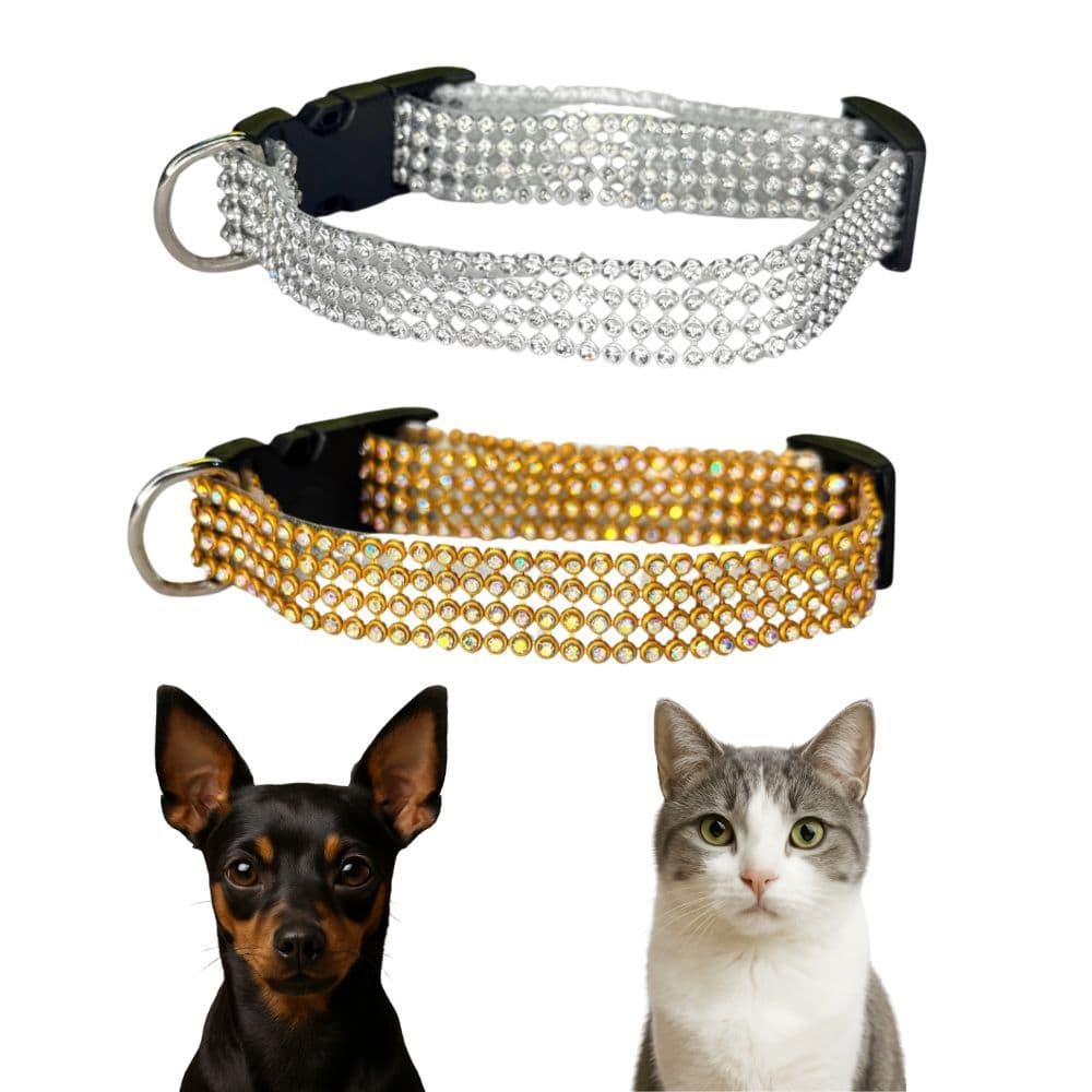 Kit 2 Coleiras com Strass Brilho para Cães e Gatos Pet Pequeno