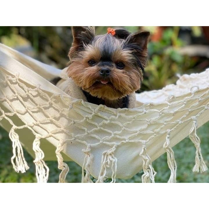 Redinha de Berço Mini Para Bebe e Pet Descanso e Conforto com Segurança