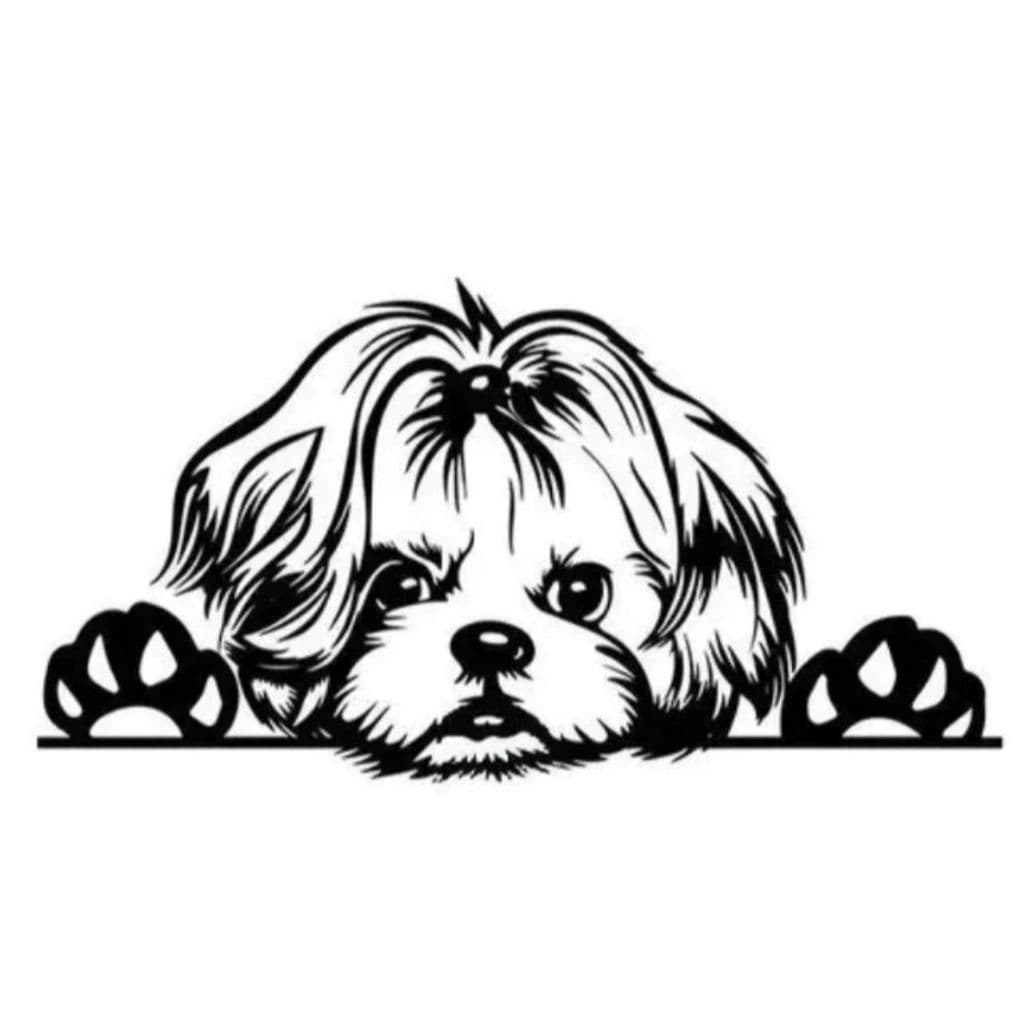 Adesivo Shitzu Shih Tzu Cachorro Tuning Automovel
