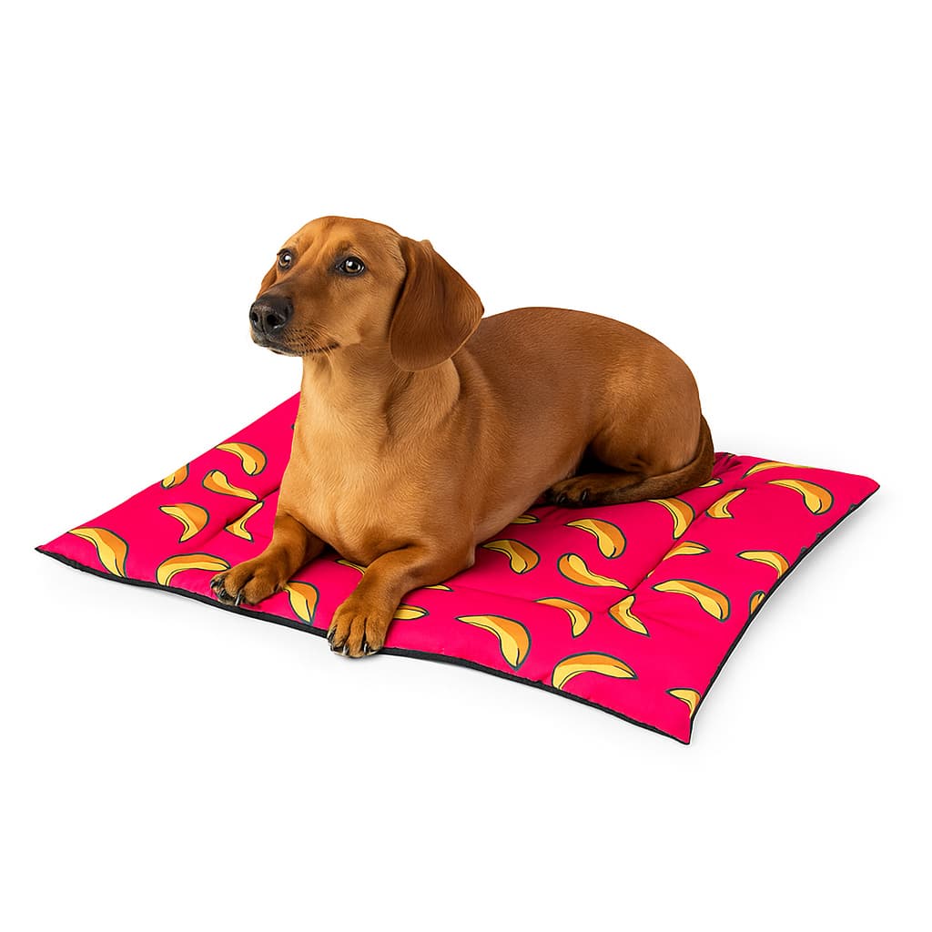 Colchonete Pet caminha para cachorro gato 45x65 Fundo tnt impermeavel Anti Friagem filhote Gato