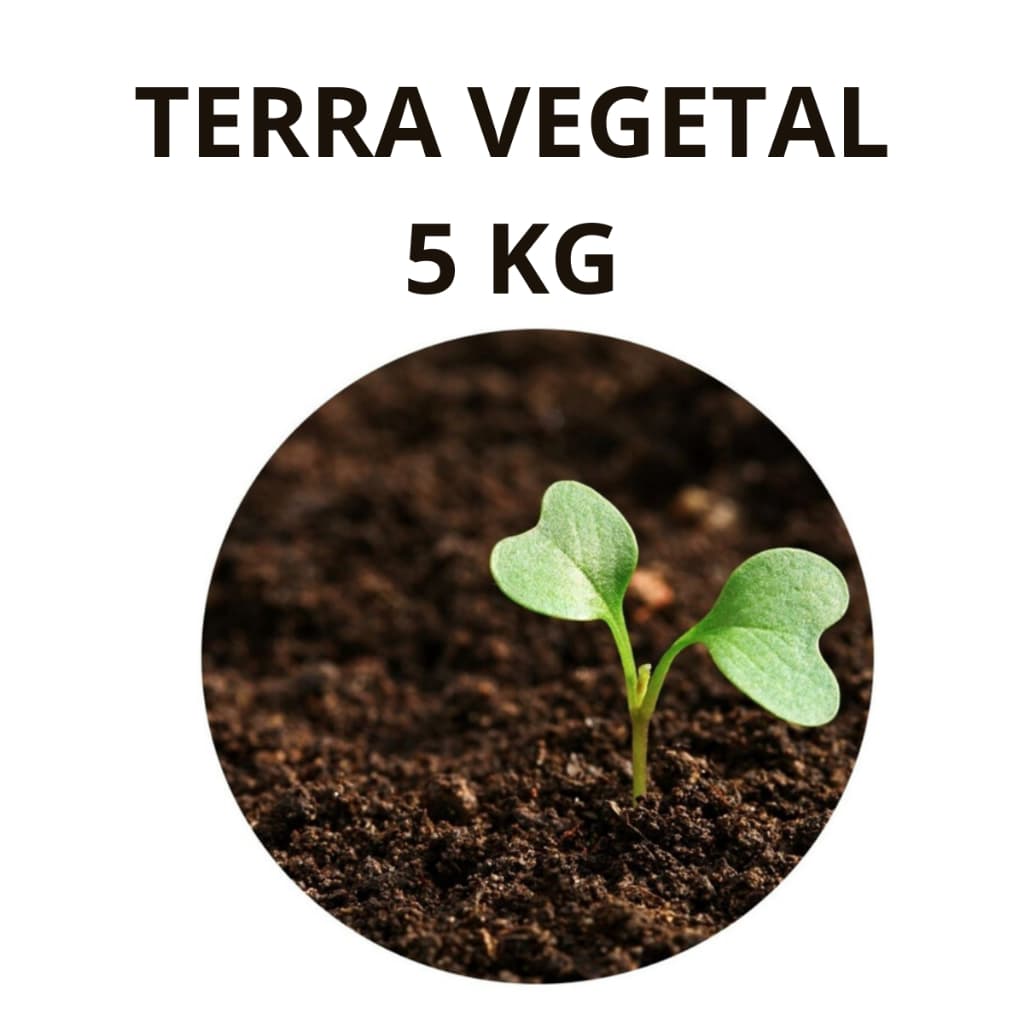 Terra Vegetal Adubada Insumax 5kg Para Jardins Paisagismo Decoração e Cuidado do Jardim