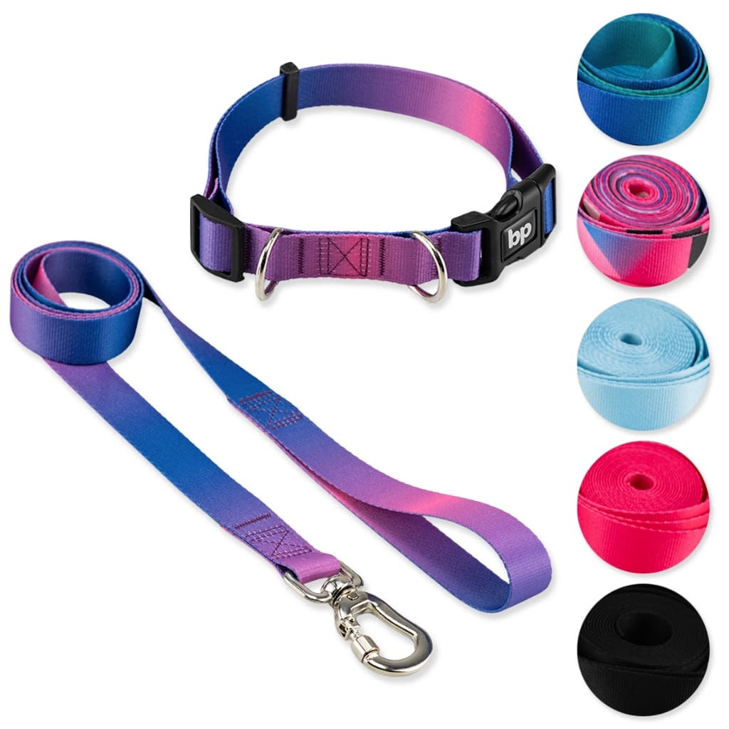 Coleira para Cachorro com Guia Cães Regulável Adestramento Várias estampas Basic Pet