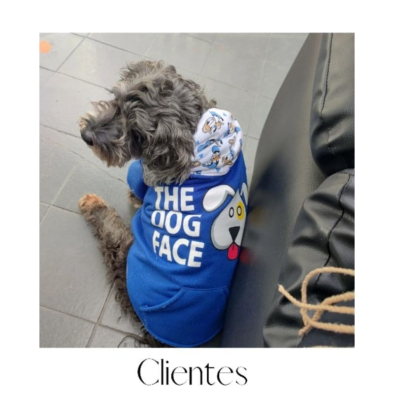 Moletom Pet Cachorro Roupinha Inverno Com Touca Premium Quentinho Estiloso Cães