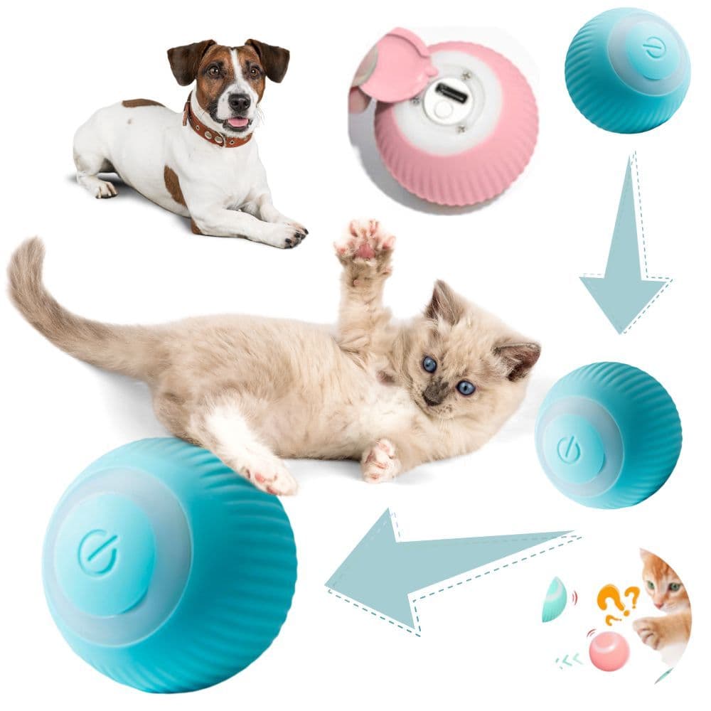 Bolinha Eletrônica Para Cachorro Gato Brincar Movimento Automático Interativa Recarregável USB