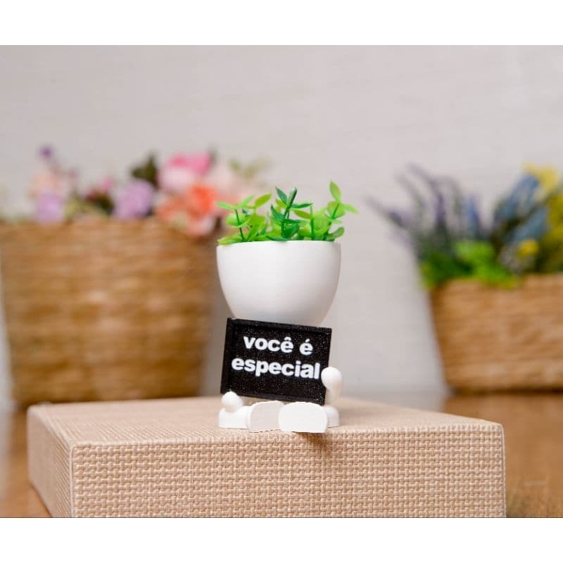 Vasinho com Planta Flor Robert Plant para Lembrancinha para decoração da sua casa sala banheiro Cacto Suculenta