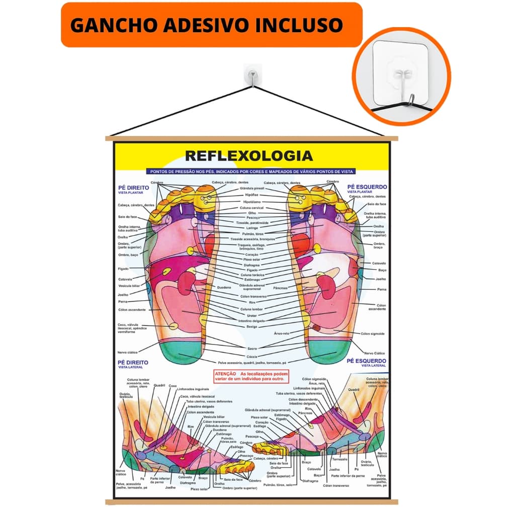 Mapa Banner Áreas Reflexas dos Pés  + Gancho Autocolante Pronto Para Pendurar - ( REFLEXOLOGIA )