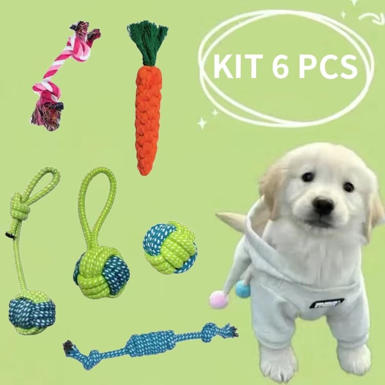 Kit 6 Brinquedo Cachorro Cordas Sortidas para Cachorro Pet
