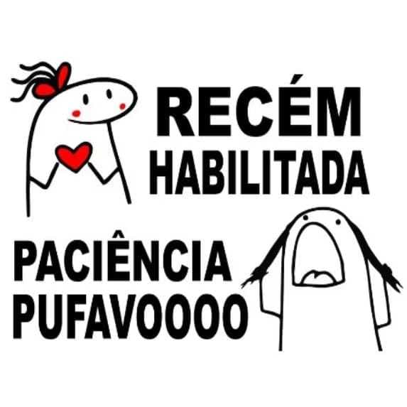 ADESIVO RECEM HABILITADA 15 X 20 CM