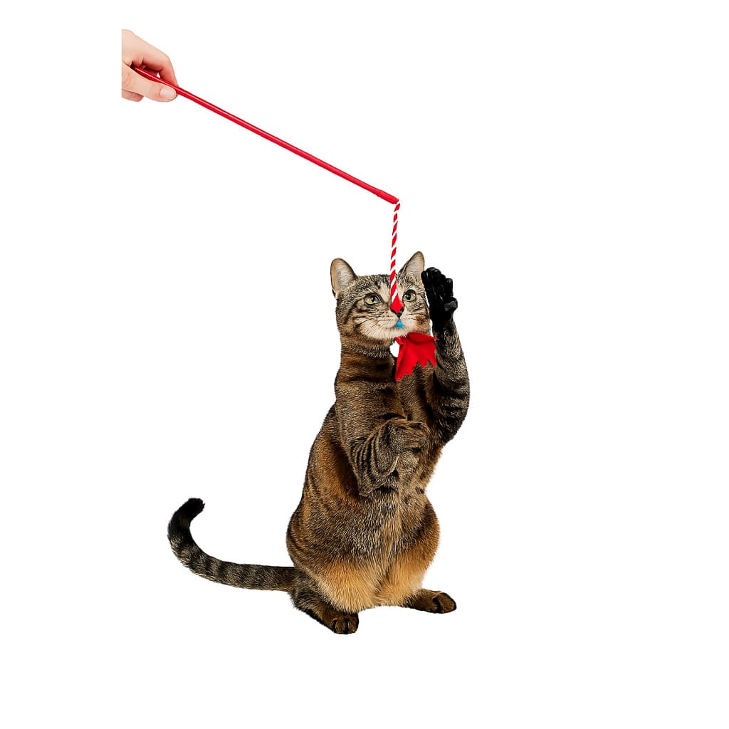 Varinha de Gato - brinquedo para gato