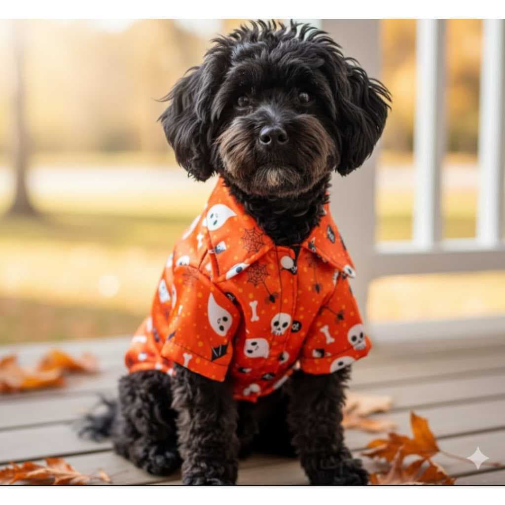 CAMISAS HALLOWEEN