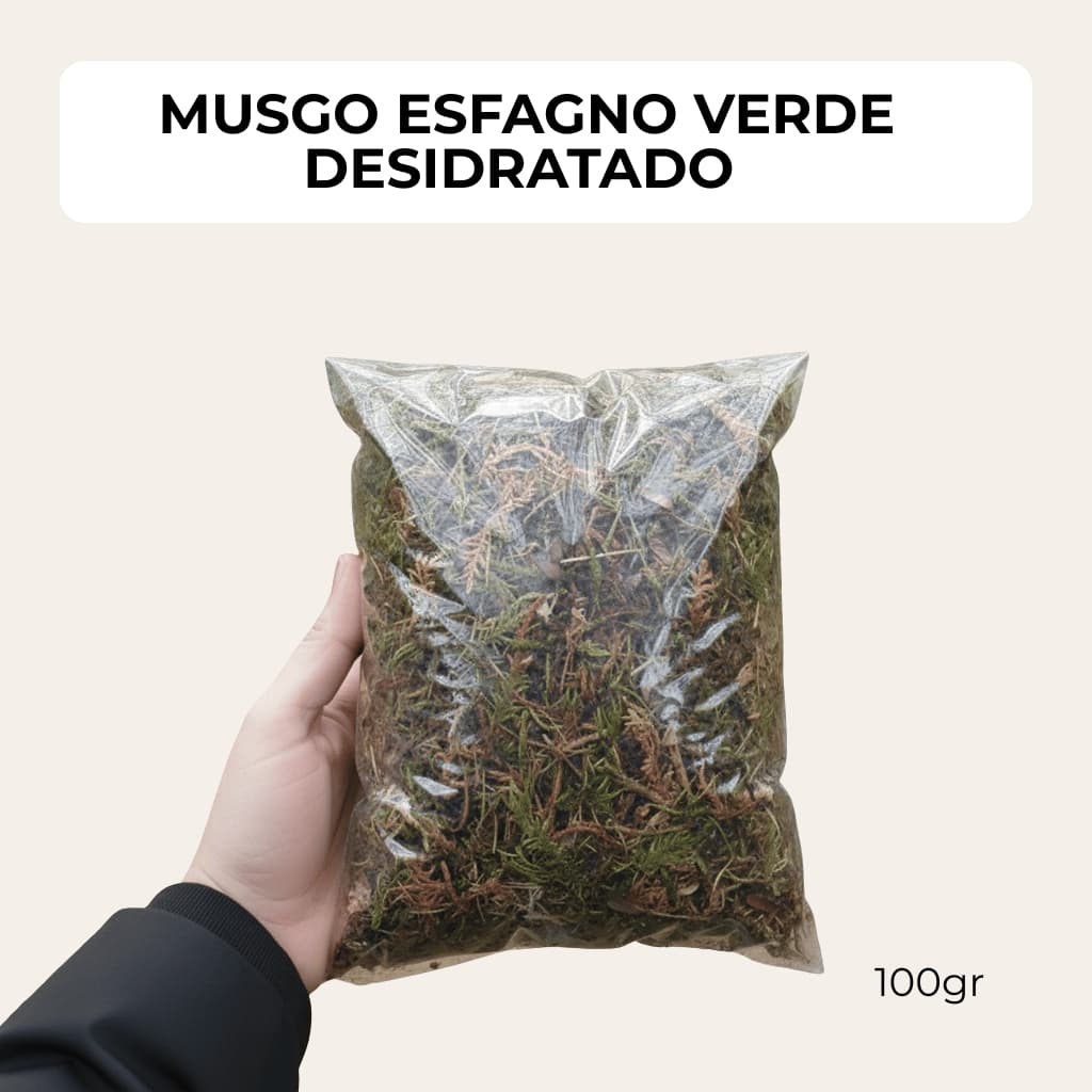 Musgo Desidratado 100g – Ideal para Decoração, Arranjos Florais, Jardinagem, Presépios e Artesanato