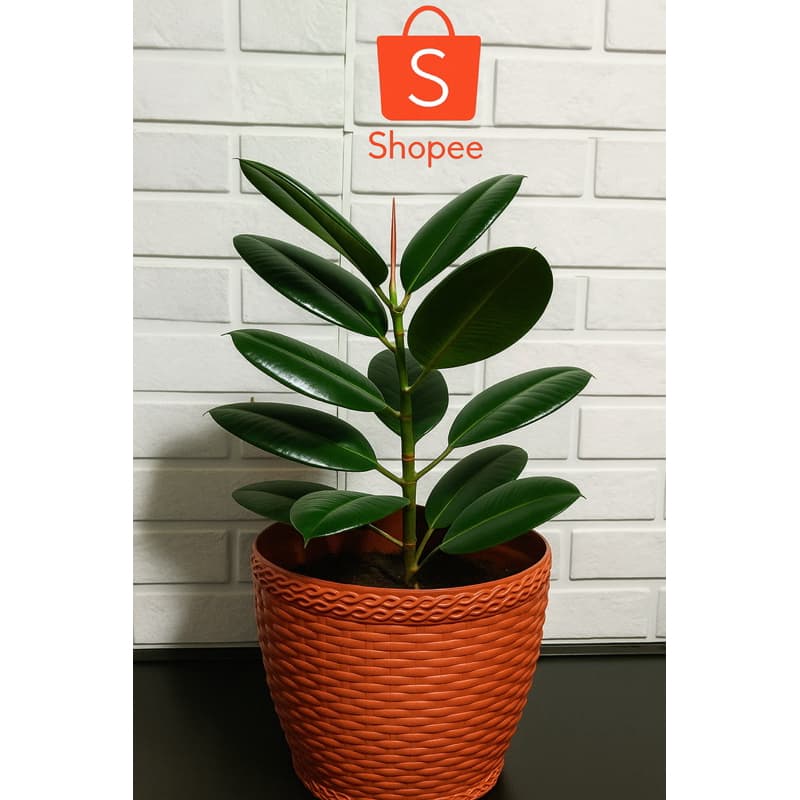 KIT 5 VASOS CACHEPOT REDONDO PARA PLANTAS, RATTAN 4,6L
