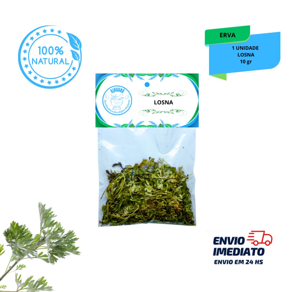 Losna 10g Erva Natural para Chás Banhos e Simpatias