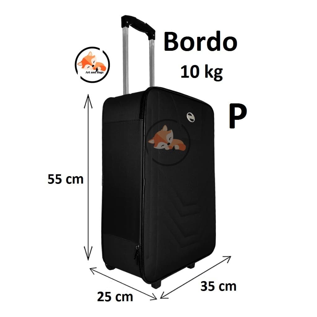 Mala 10kg Viagem BORDO 55x35x25cm Bolsa de Mão ANAC Rodinhas Village - Bordo