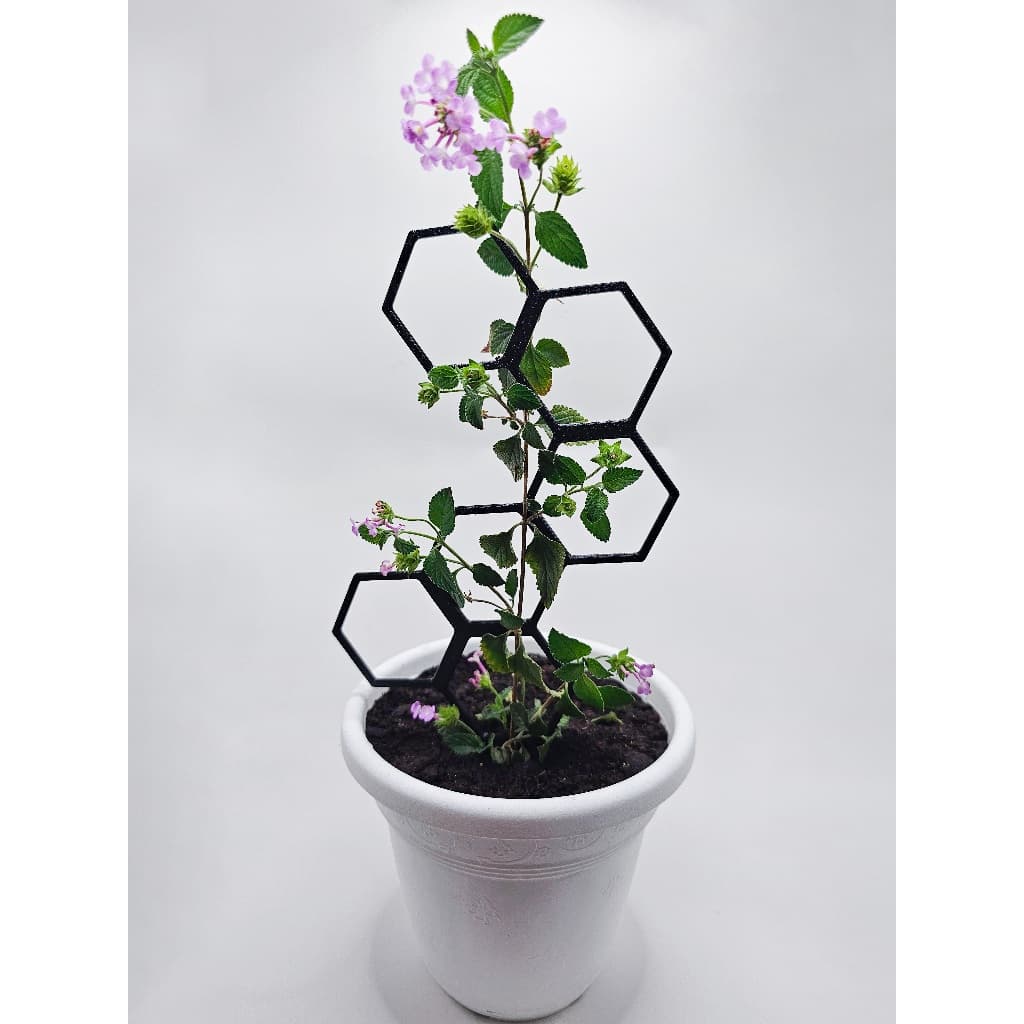 Treliça kit 3 unid / Estaca para Plantas / Suporte para plantas / Haste para plantas