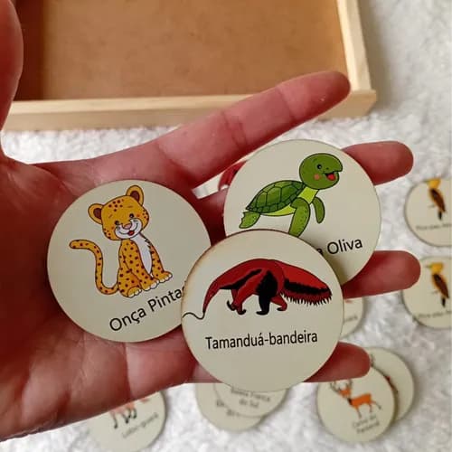 Jogo da Memória Animais Brasileiros Montessori Pedagogico