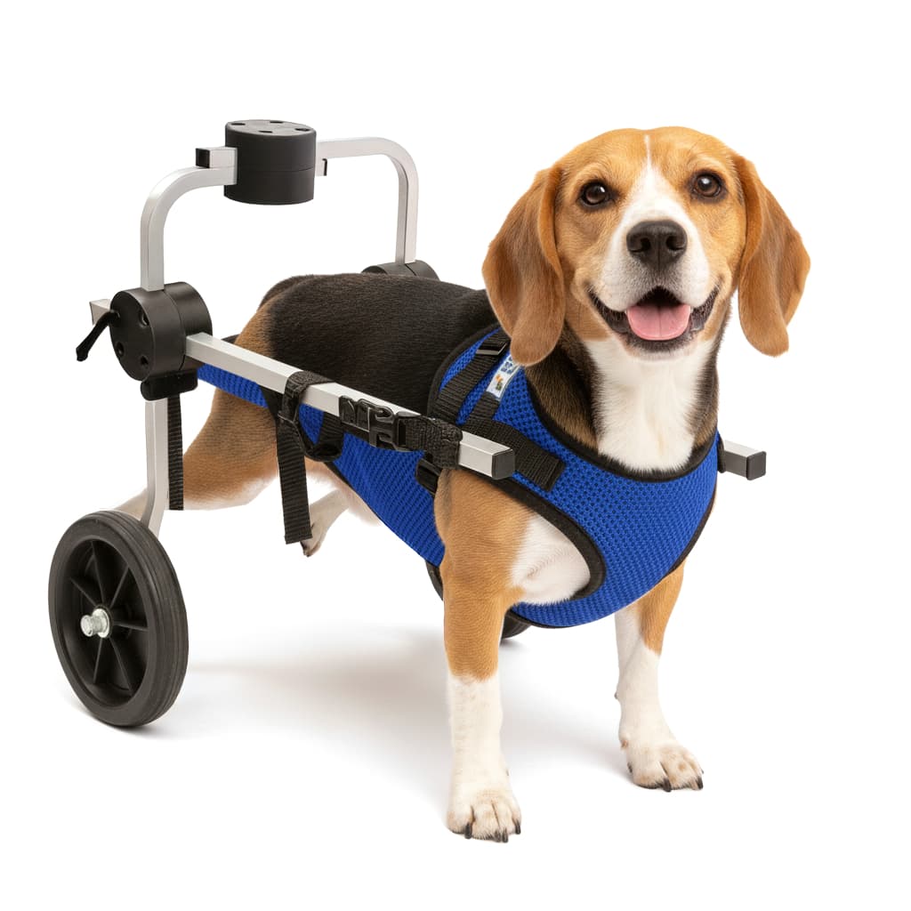 Cadeira 2 Rodas Colete Tamanho M Cachorro Traseira Regulável Deficiente Paraplégico Idoso