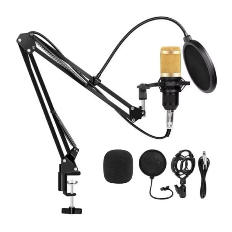Kit Microfone Condensador BM800 Profissional com Pop Filter Braço Articulado e Shock Mount Aranha