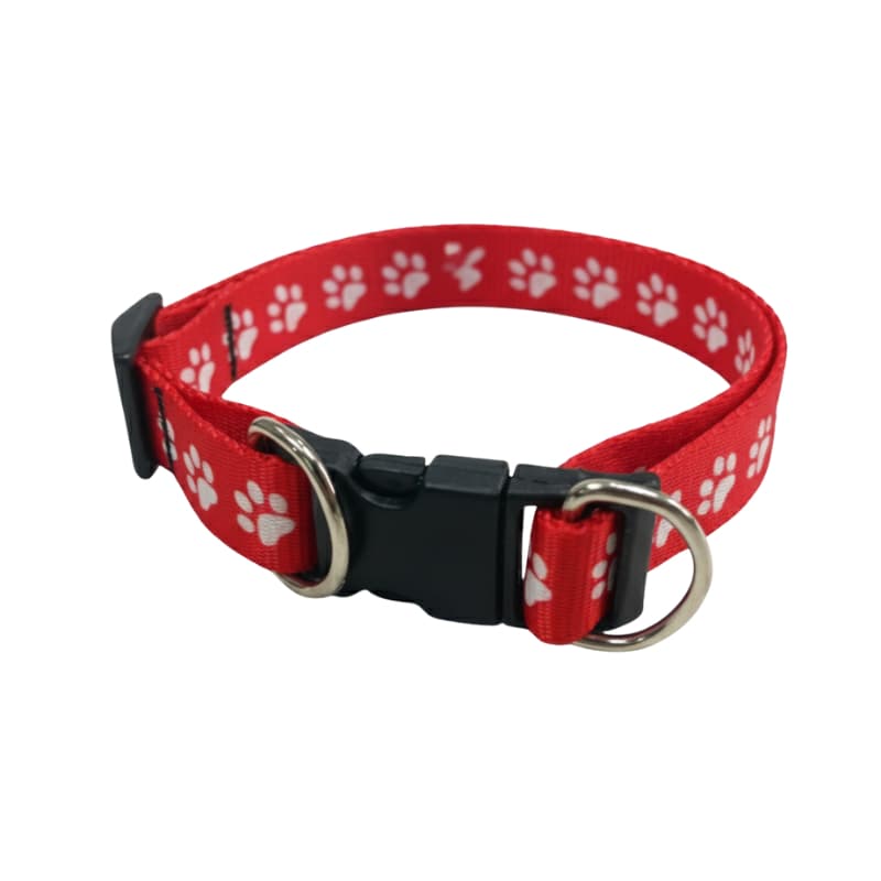 Coleira pra Cachorro Regulável Resistente Tamanhos P, M, G, GG Ajustável Conforto e Segurança