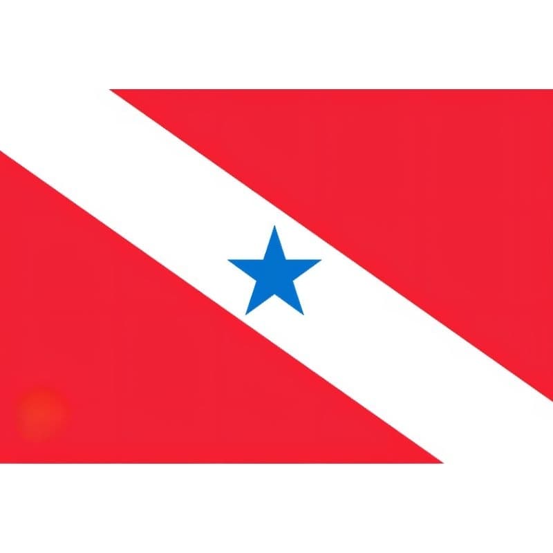 Patch Totalmente Bordado Bandeira Estado Pará Termocolante ou Velcro