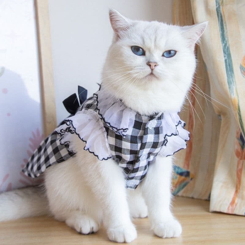 Vestido Pet e gato xadrez com colar, vestido luxo para cachorro gato
