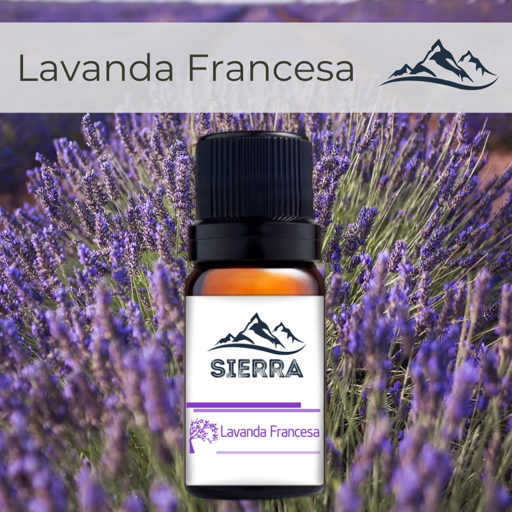 Essência de Lavanda Francesa para Difusor Aromatizador Umidificador de Ar Aroma Hidrossolúvel 10ml